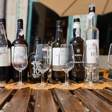 Flh Traditional Lejlighed *